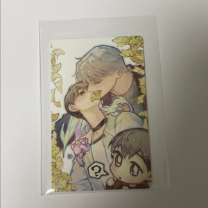 2025 세성계약꽃집 현윶 포카 성현제 한유진