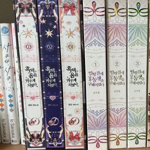 로판 개인지 판매합니다