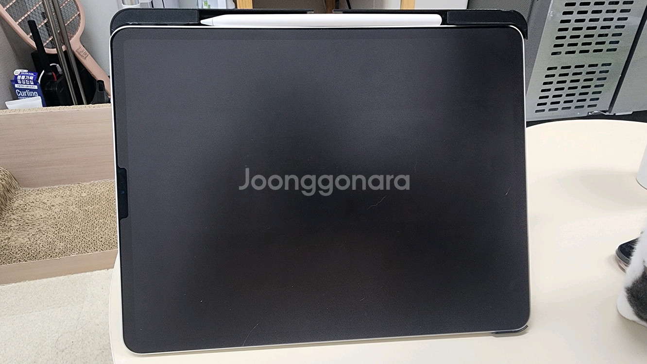 아이패드 프로 12.9 4세대 256기가 + 애플펜슬--6