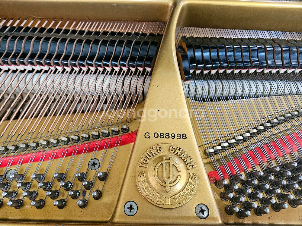 영창그랜드피아노 C-185BP--5