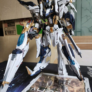 무한신성 오로라 팝니다