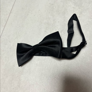 나비 넥타이(보타이)