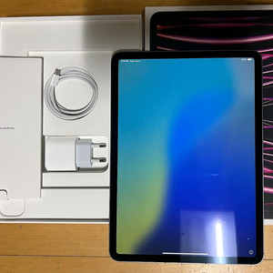 아이패드 프로 11 4세대 256GB 셀룰러 + 케이스