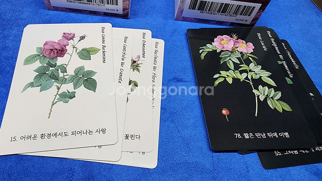 플라워 디바인 사랑재회 조언카드 타로 오라클--0