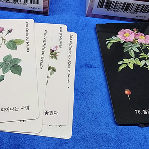 플라워 디바인 사랑재회 조언카드 타로 오라클