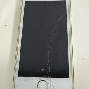 아이폰 SE 1세대 골드 이미지