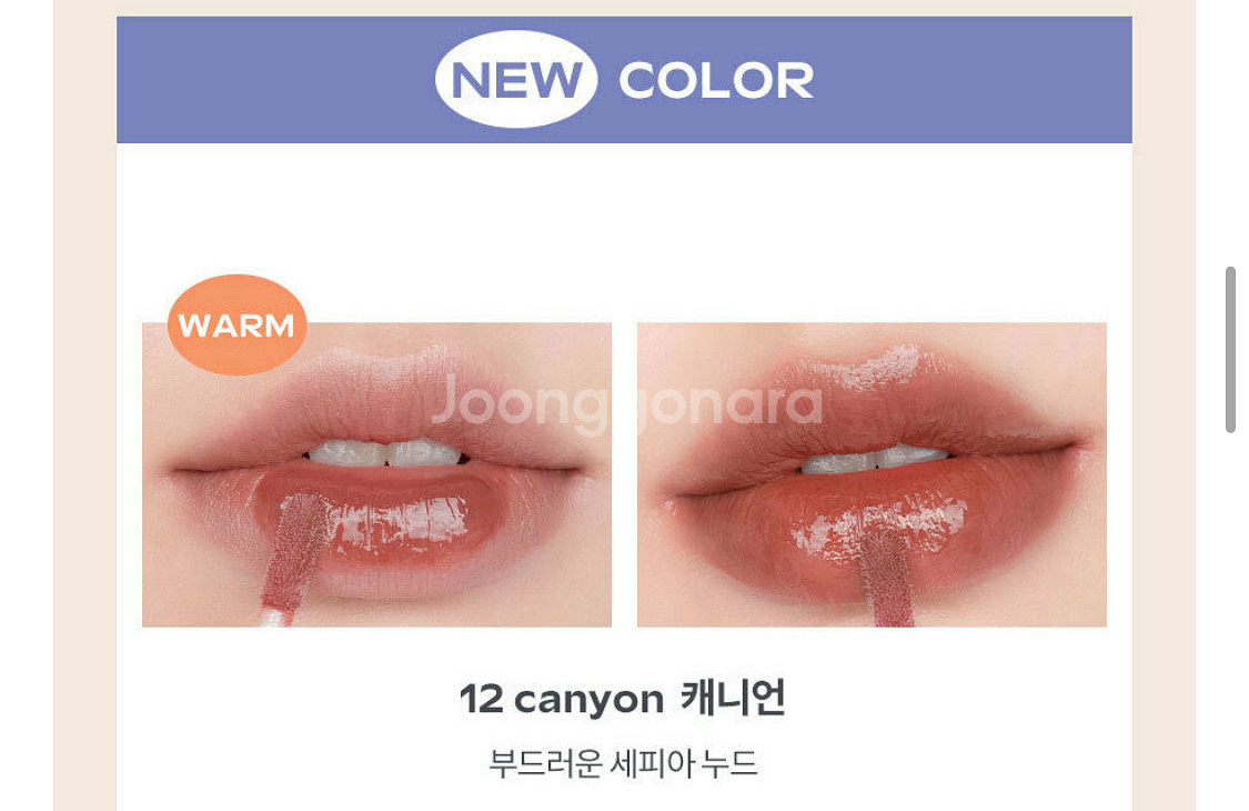 롬앤 듀이풀 워터틴트 12캐니언--2