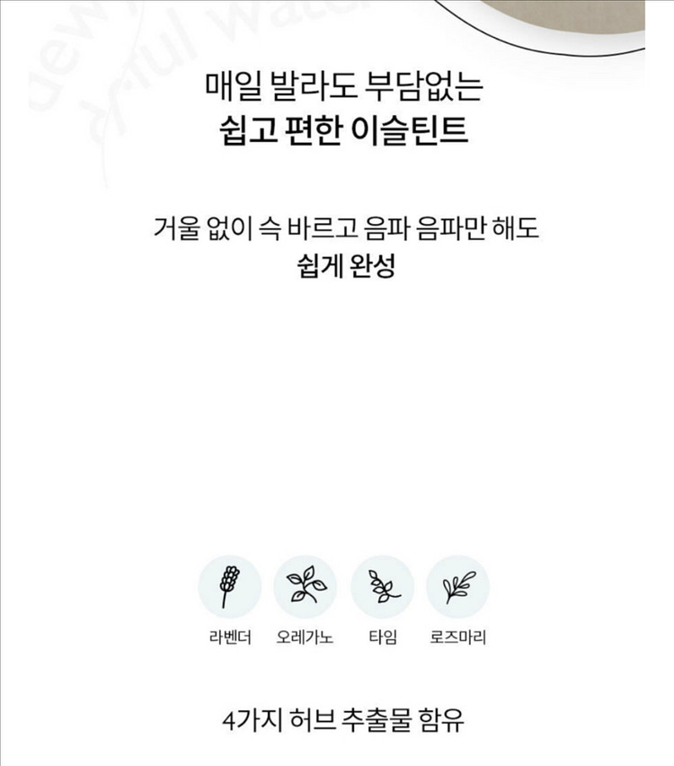 롬앤 듀이풀 워터틴트 12캐니언--5