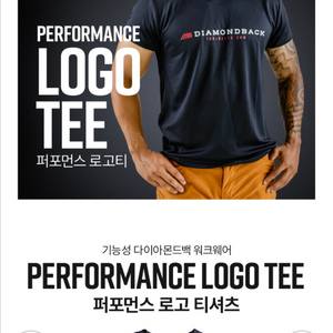 다이아몬드백 퍼포먼스 로고티