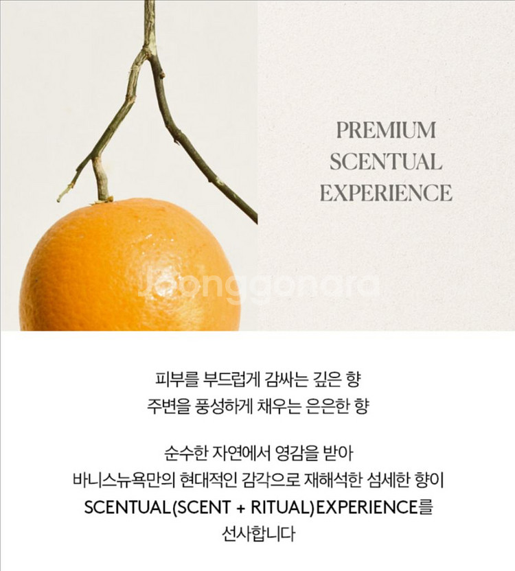 바니스뉴욕 센티아쥬 베러댄에버 바디로션--4