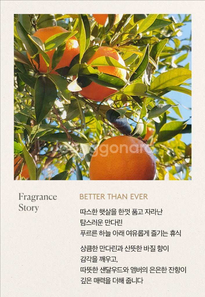 바니스뉴욕 센티아쥬 베러댄에버 바디로션--5