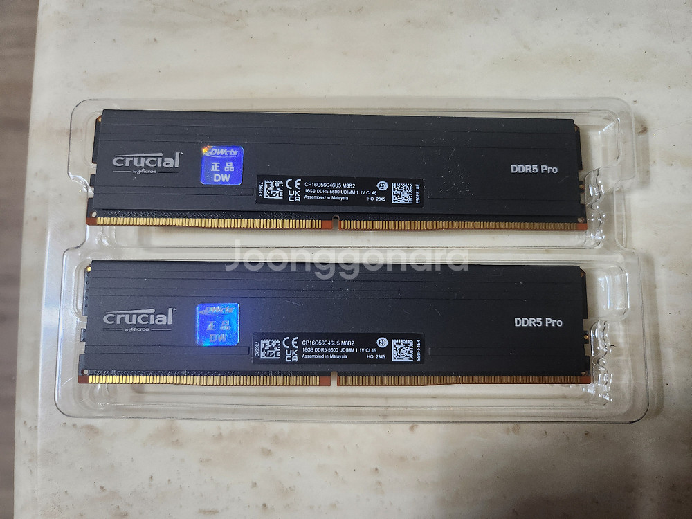 마이크론 DDR5-5600 32GB(16*2)--0