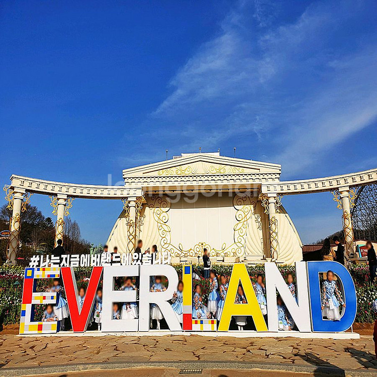 에버랜드 종일권--0