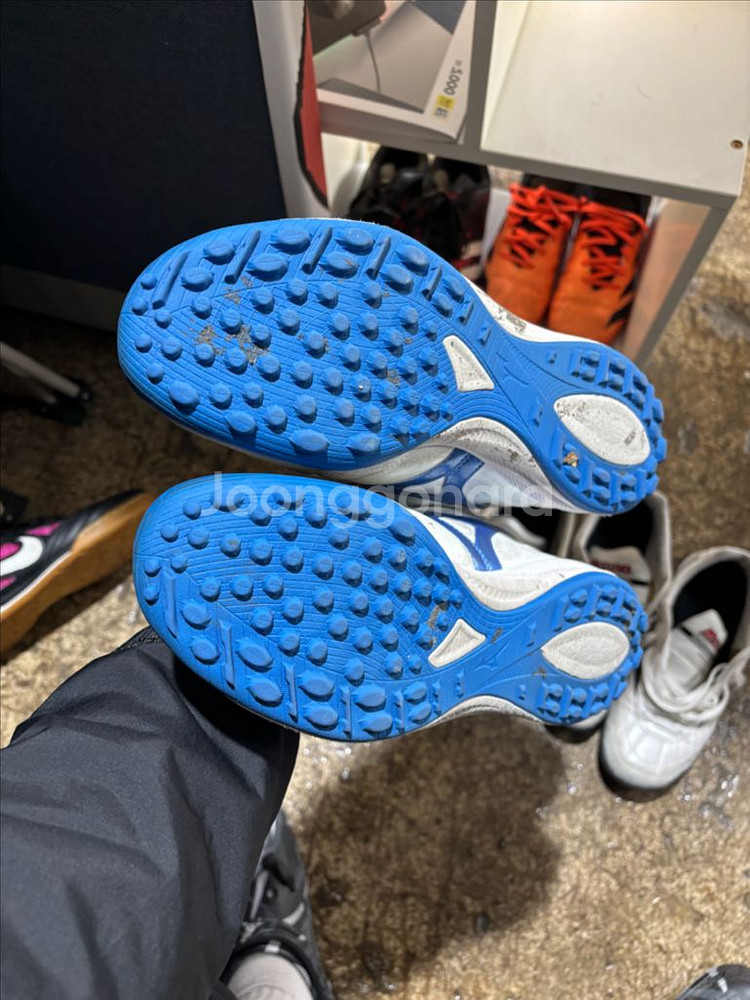 미즈노 풋살화 260 일괄 또는 개별--1