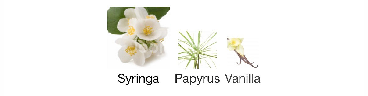 발몽 베르데 에르바 100ml--3