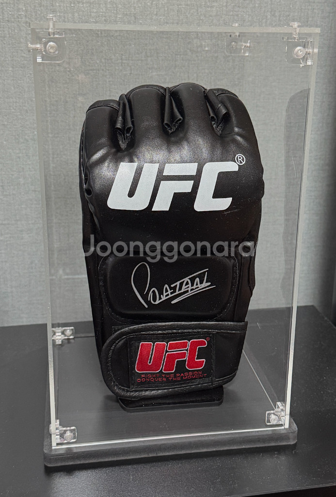 알렉스 페레이라 친필 사인 UFC 글러브--0