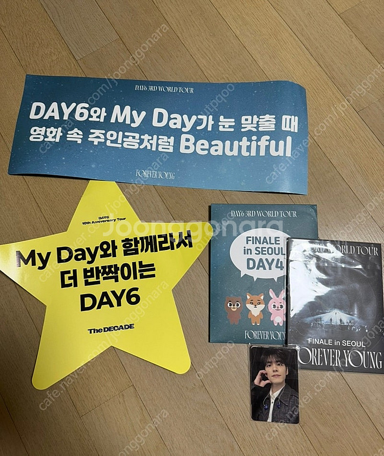 데이식스포에버영고양입장키트,마이데이5기키트,타투스티커--1