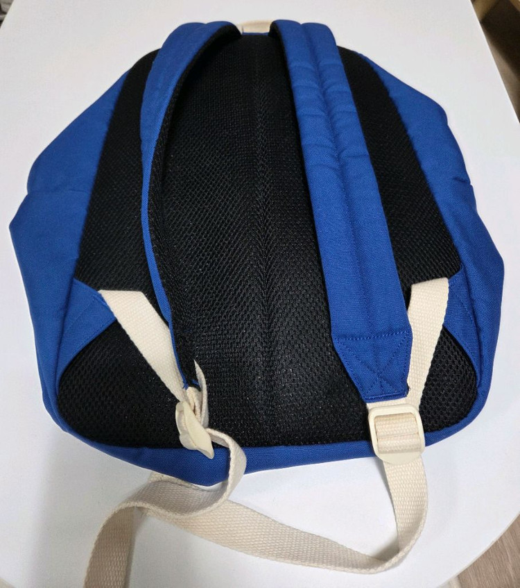 칼하트 백팩 블루 이미지