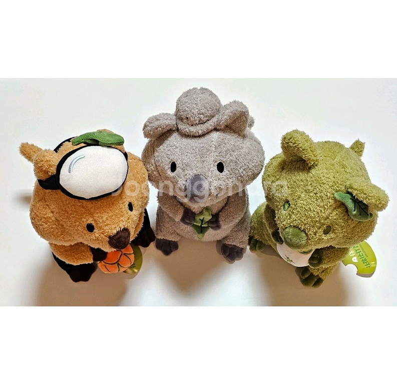 제주도 쿼카 인형 3종--1