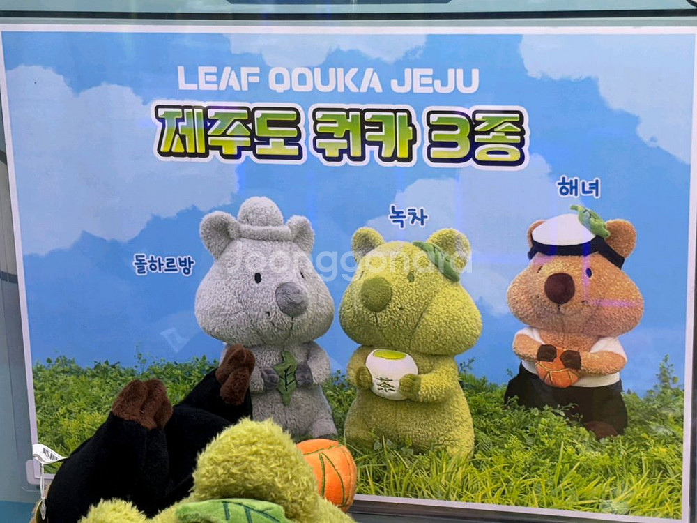 제주도 쿼카 인형 3종--2