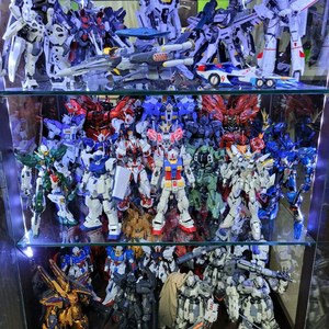 가조.순조.반다이.mg.rg.중국건담.도색.커스텀.메탈.코팅.다반.솔로몬.