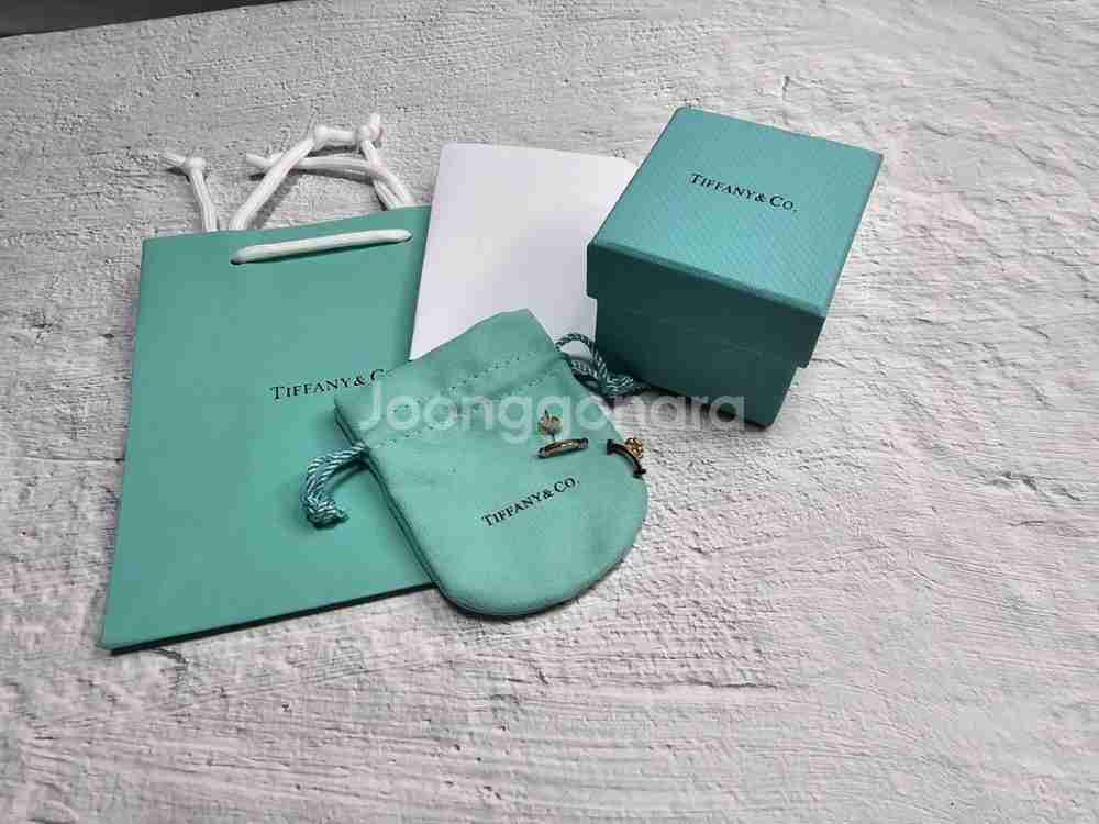 티파니 골드 귀걸이--0