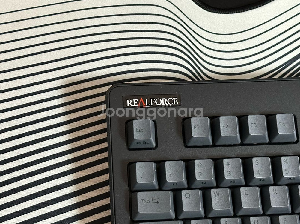 리얼포스 R3 TKL 45g 블랙 최최최상급 팝니다.--2