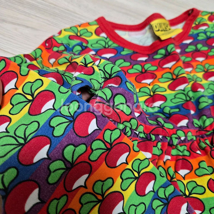 던스스웨덴 구상무지개게더98+모어댄--2