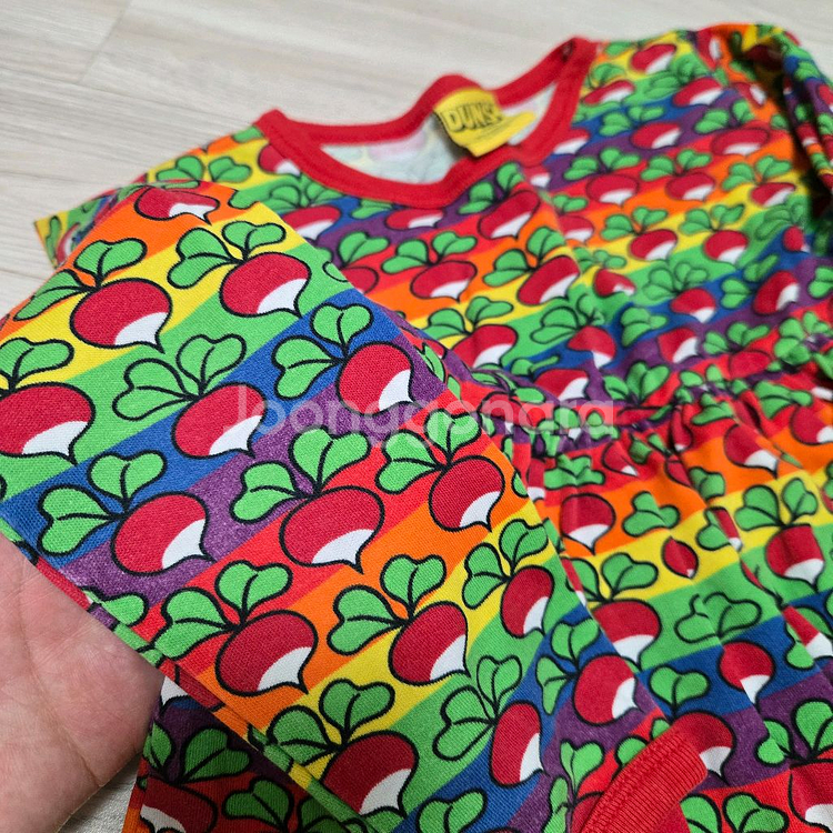 던스스웨덴 구상무지개게더98+모어댄--1