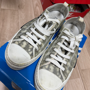 디올 오블리크 스니커즈