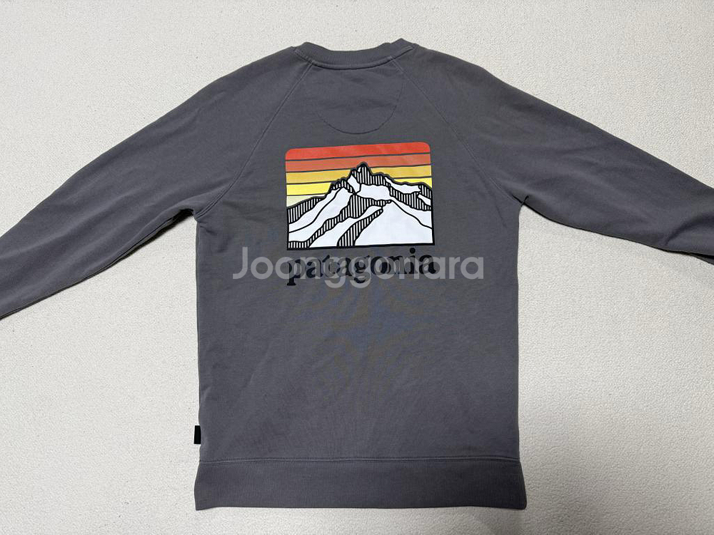 파타고니아 오가닉 맨투맨 티셔츠 남성용 95사이즈--1