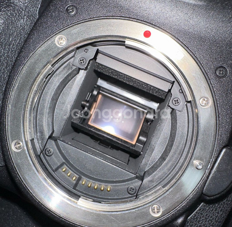 캐논 EOS 7D DSLR 카메라--7