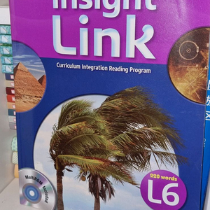 인사이트 링크 L6