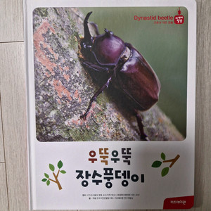 키즈에이원 몬테소리 자연이 알쏭 전집 + 동식물 스토리 카드 세트 판매합니다