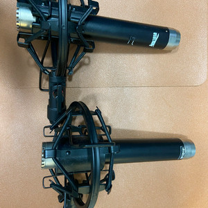 Apex185B | 콘덴서 마이크 | 합창 | 실용적인 수음