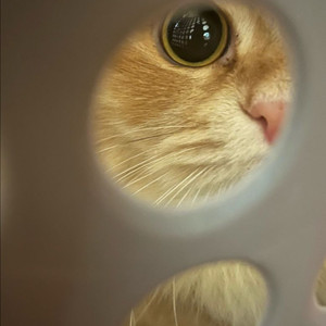 rg 2.0건담 삽니다