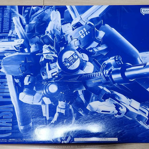 MGex-S건담 MGSD윙 RG지옹 스페셜코팅 외