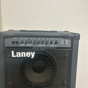 레이니 일렉기타 엠프 이미지