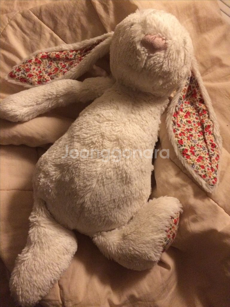 젤리캣 블라썸 크림 버니 L--0