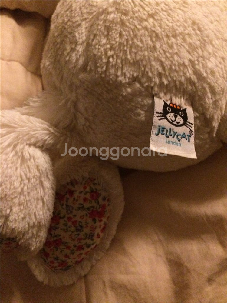 젤리캣 블라썸 크림 버니 L--5