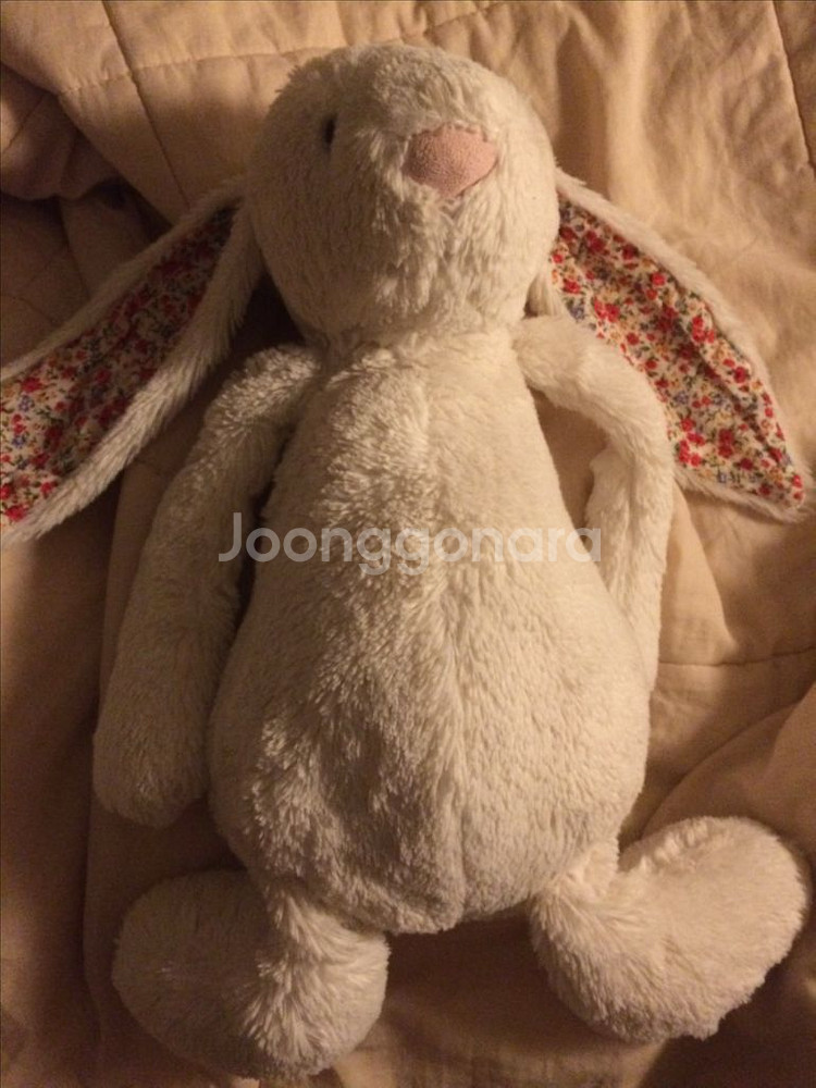 젤리캣 블라썸 크림 버니 L--2