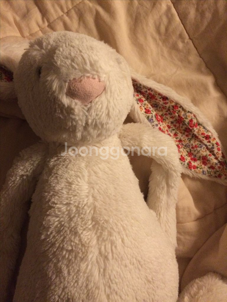 젤리캣 블라썸 크림 버니 L--1