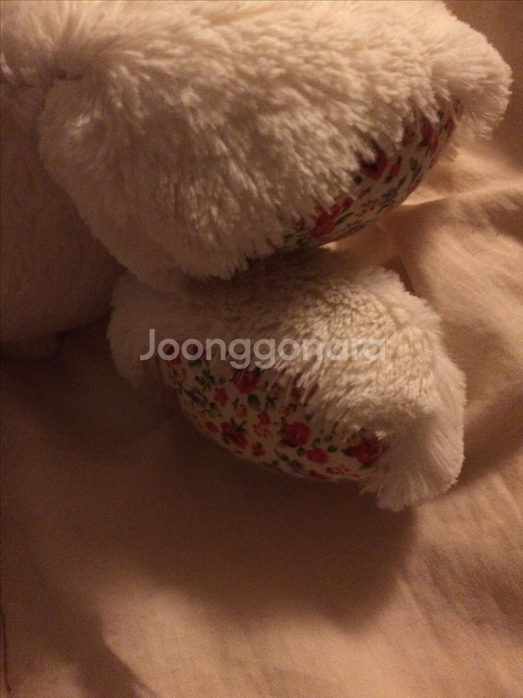 젤리캣 블라썸 크림 버니 L--4