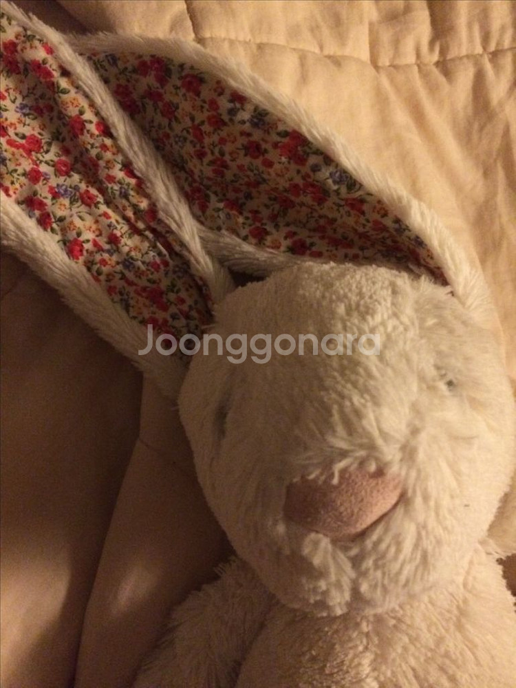 젤리캣 블라썸 크림 버니 L--3