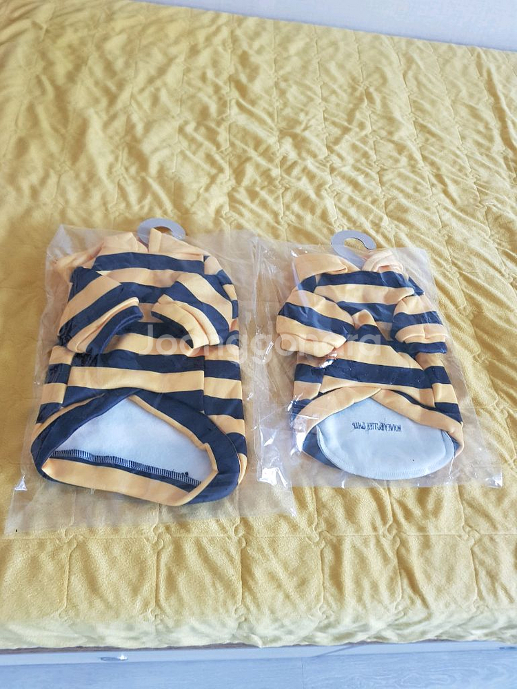 허니버터칩 반려견 꿀벌옷 굿즈--1