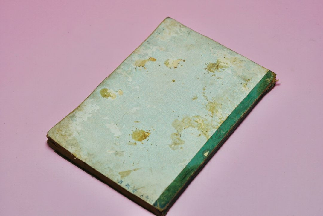 자연 6-2 교과서 책 옛날 국민학교 수집 레트로 빈티지 이미지