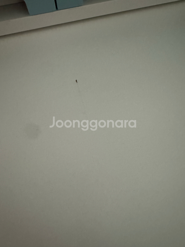 LAGKAPTEN락캅텐 / ALEX알렉스 / ADILS아딜스--2