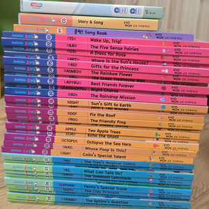 도요새호기심Q+스토리팝