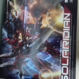 일요 솔라리디안 프라모델 편광코팅버전 건담(x)