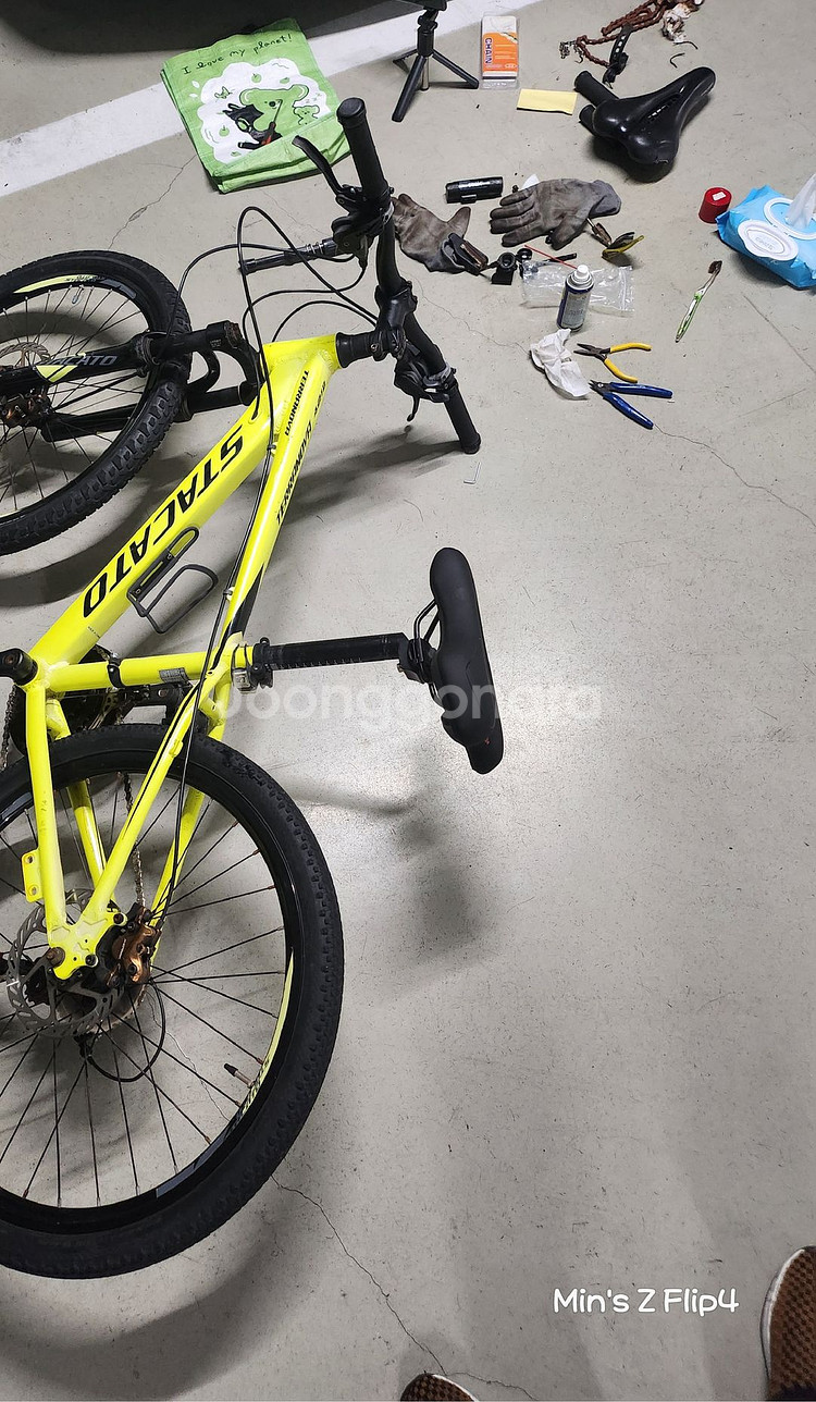 스타카토 테라노바 24인치 어린이 자전거 급처--9